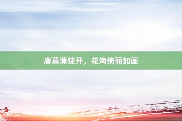 唐菖蒲绽开，花海绮丽如画