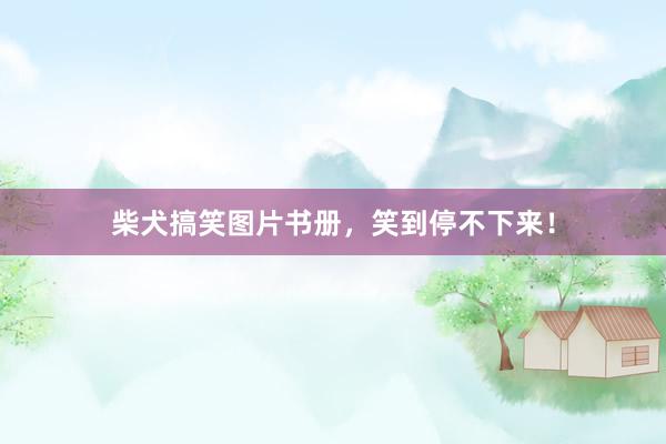 柴犬搞笑图片书册，笑到停不下来！